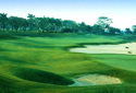 Golf in Indonesia