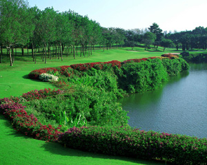 Golf in Thailand